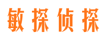 兴国市调查取证